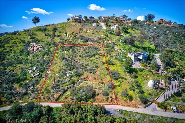 a view of a garden with plants