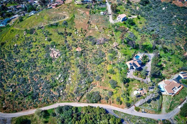 a view of a garden with plants
