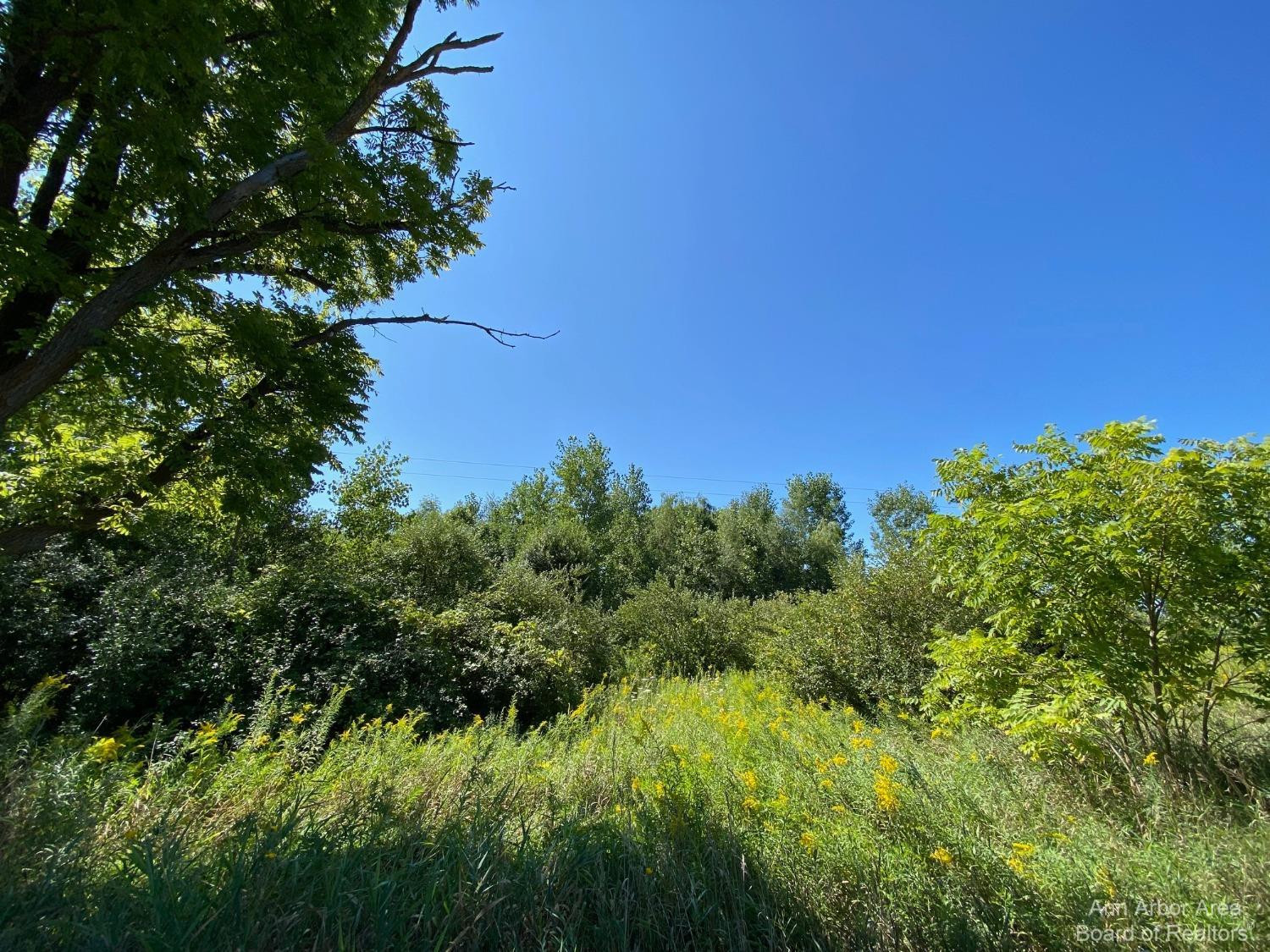 20181 Waldo Road Chelsea, MI 48118 - Photo 8 of 9 Photo 8