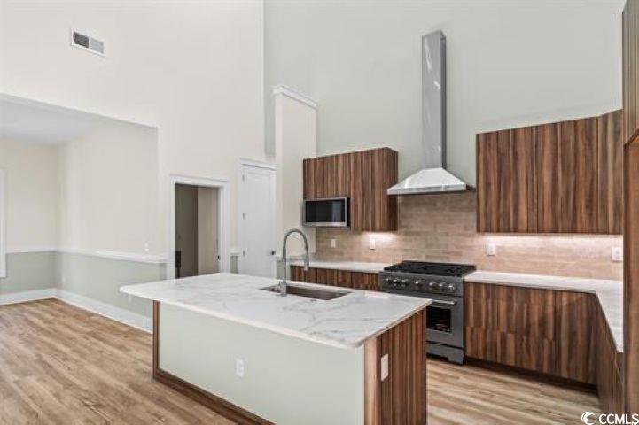 1028 Colette Court Conway, SC 29526 - Photo 5 of 39 Kitchen with modern cabinets, wall chimney exhaust hood, backsplash, appliances with stainless steel finishes, and light wood-style flooring