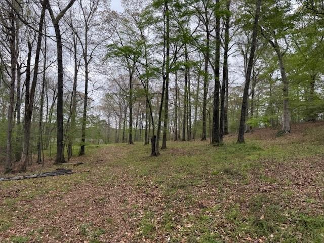 434 Walnut Creek Road Simsboro, LA 71275 - Photo 6 of 16