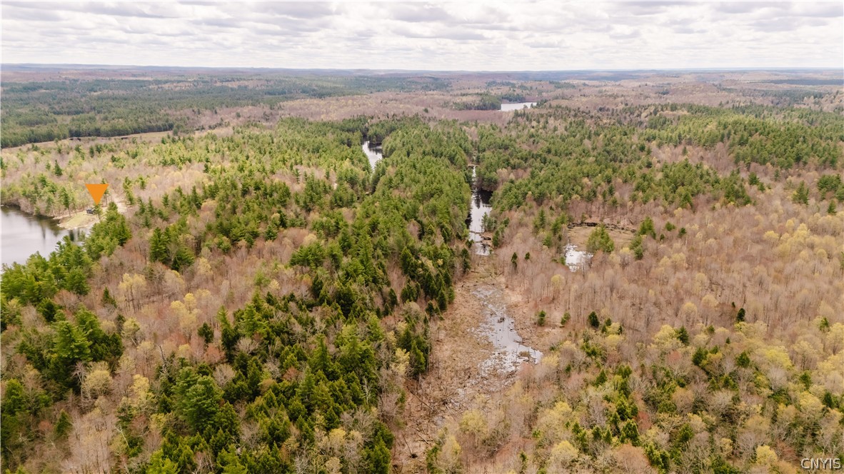 Lot 2 Bingo Road Edwards, NY 13635 - Photo 26 of 27