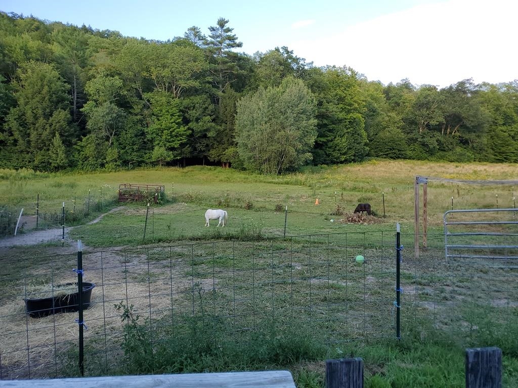 24 Old Goshen Road Newport, NH 03773 - Photo 4 of 39 Gallery Image 4