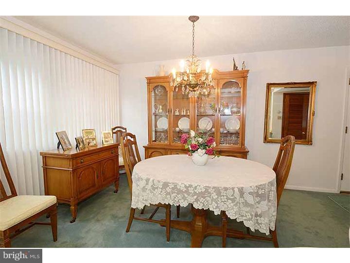 239 Bailey Road Bryn Mawr, PA 19010 - Photo 7 of 24
