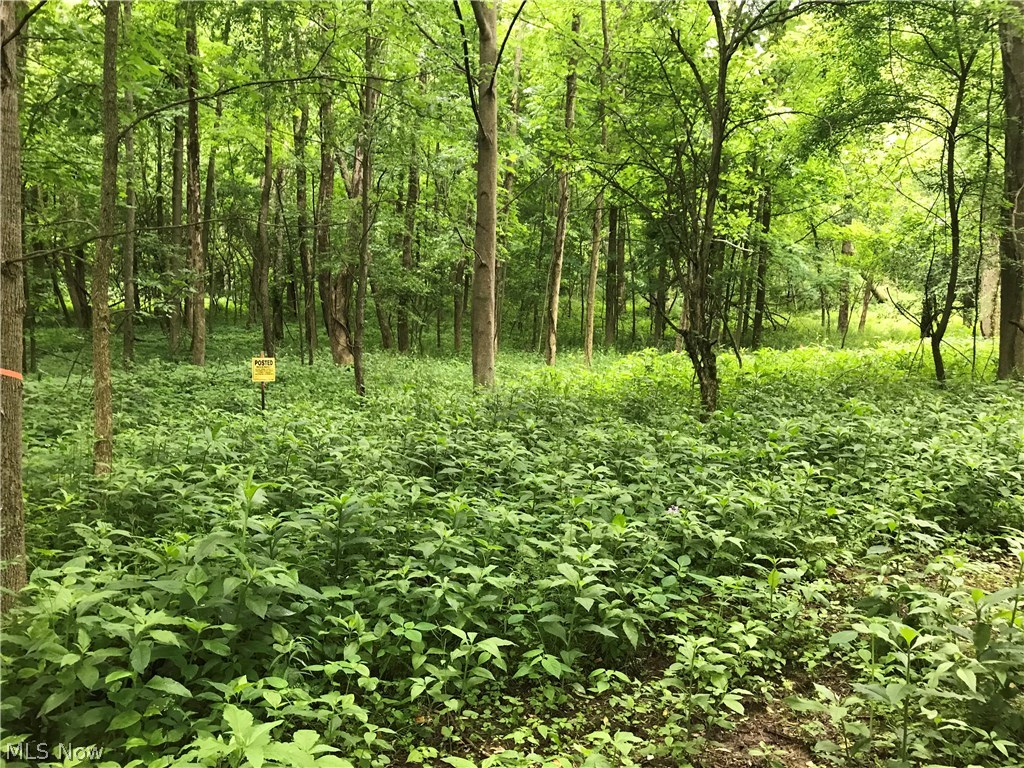 Lexington Springmill Road Mansfield, OH 44904 - Photo 10 of 23