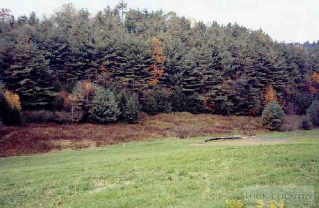 Lot 4 Stanley Miller Road Deep Gap, NC 28618 - Photo 1 of 1 Gallery Image 1