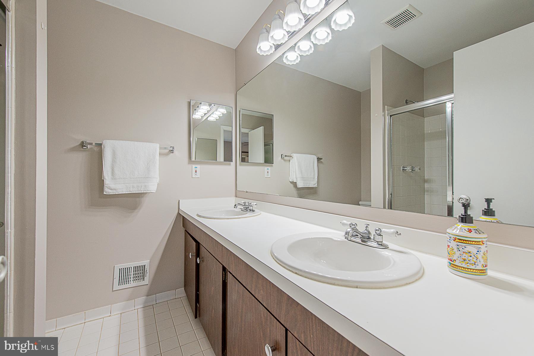 5388 Eliots Oak Road Columbia, MD 21044 - Photo 19 of 24 Master Bath with Dual Sink Vanity & Large Shower