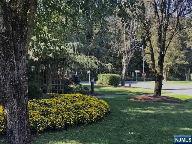 a view of a backyard with swimming pool
