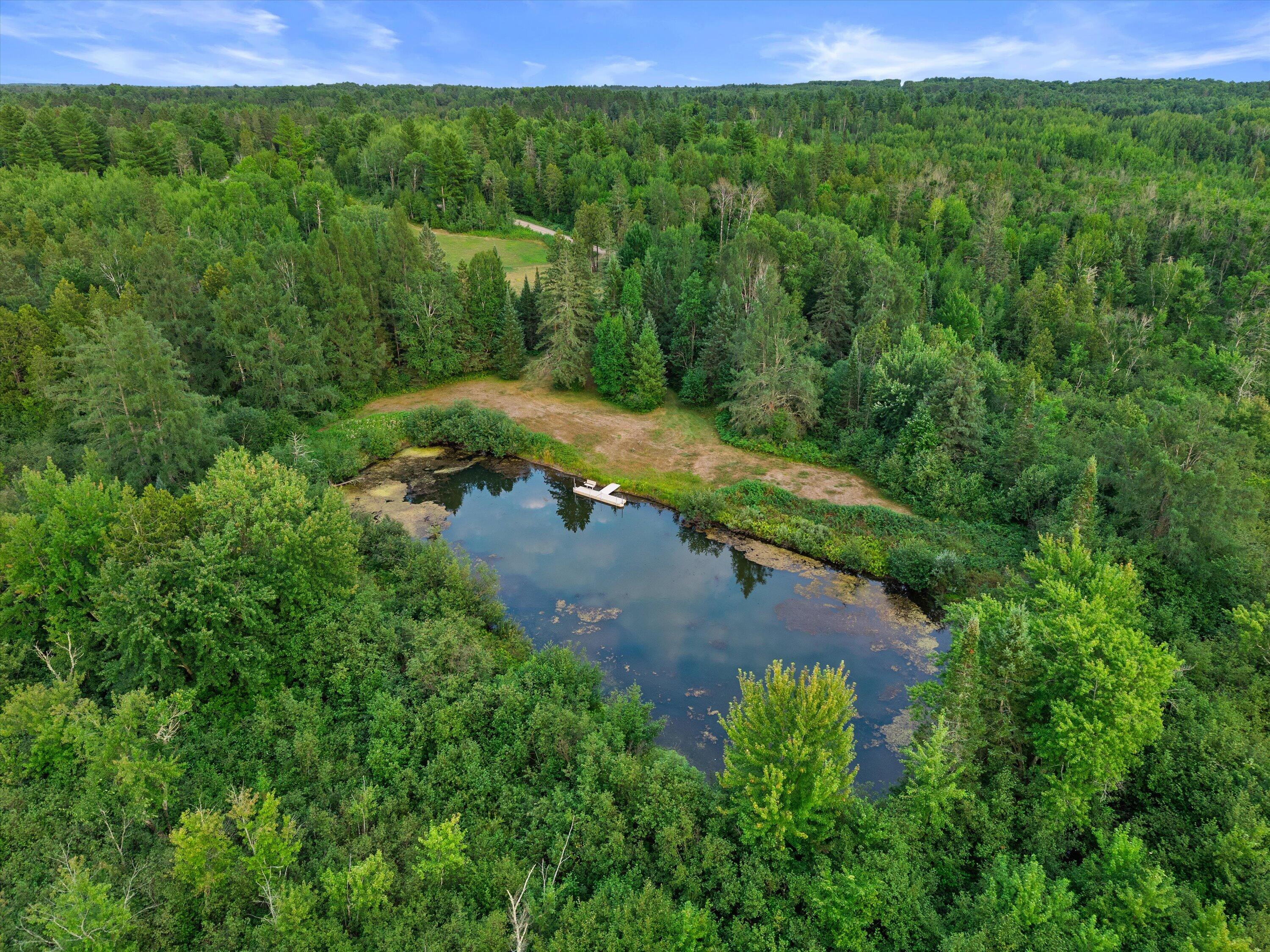 W7338 Flambeau River Road Fifield, WI 54524 - Photo 8 of 49 08-DJI_20260813193805_0056_D