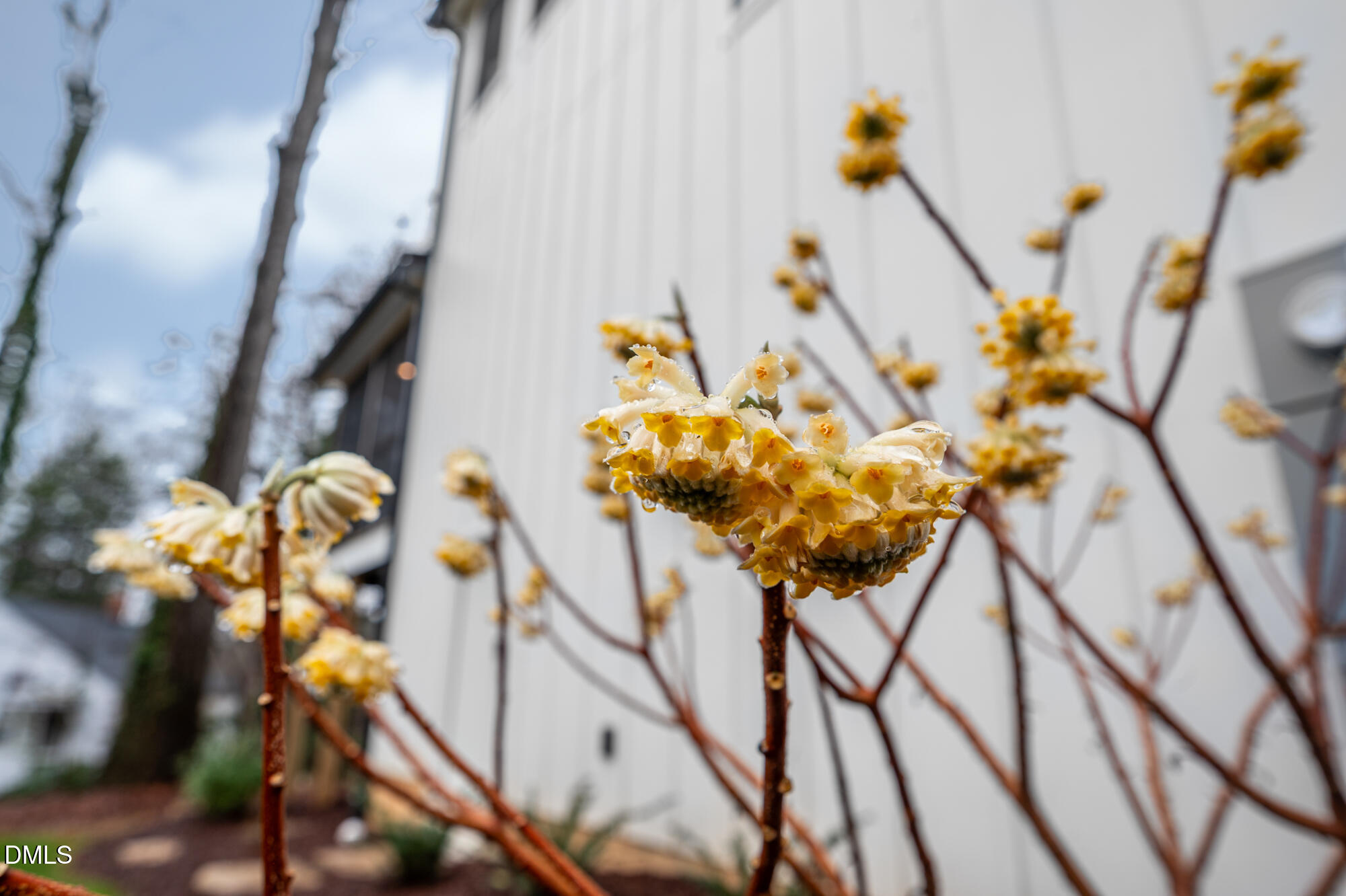 1220 Hillview Road Chapel Hill, NC 27514 - Photo 45 of 47 1220Hillview-56