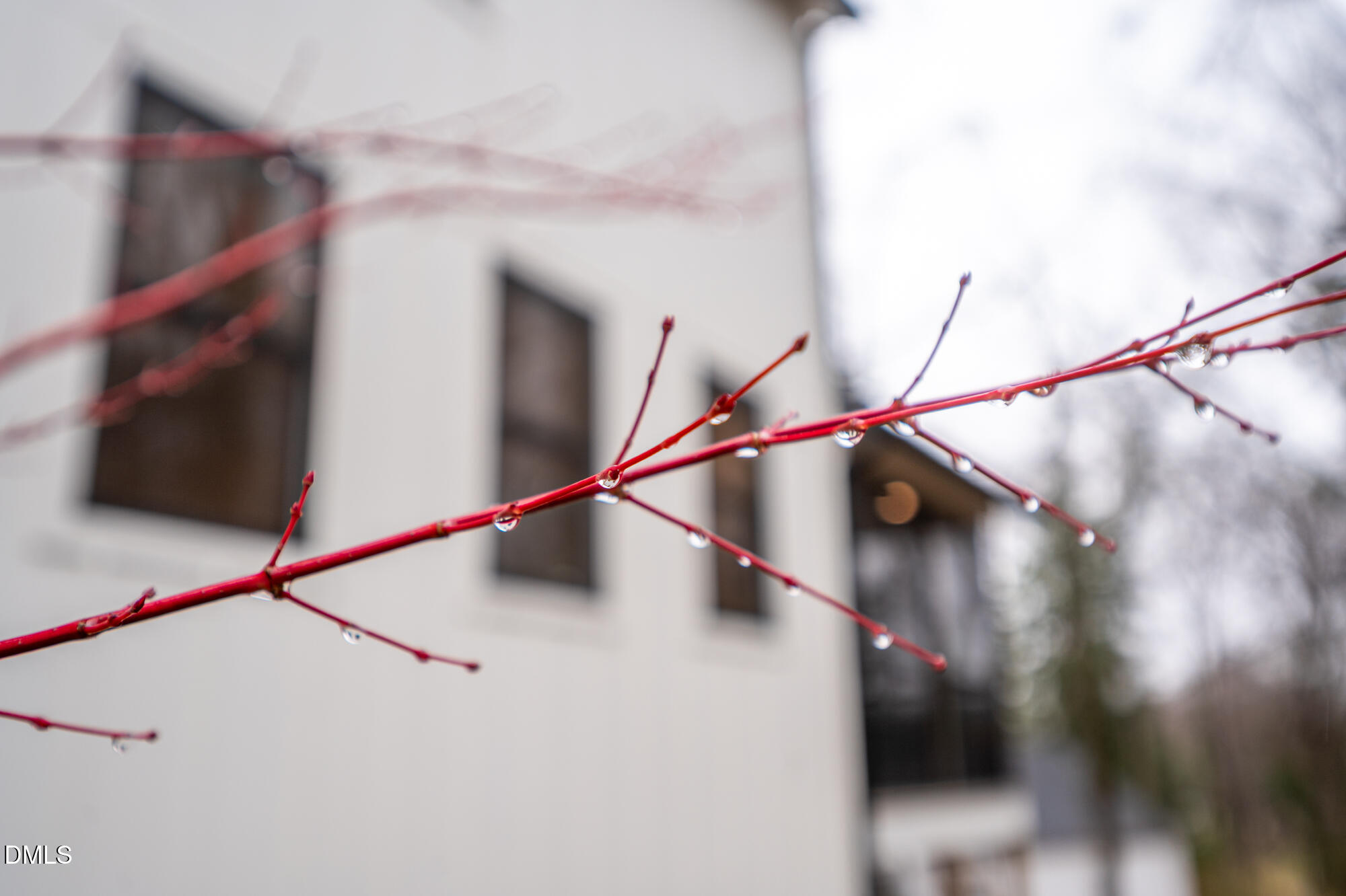 1220 Hillview Road Chapel Hill, NC 27514 - Photo 46 of 47 1220Hillview-57