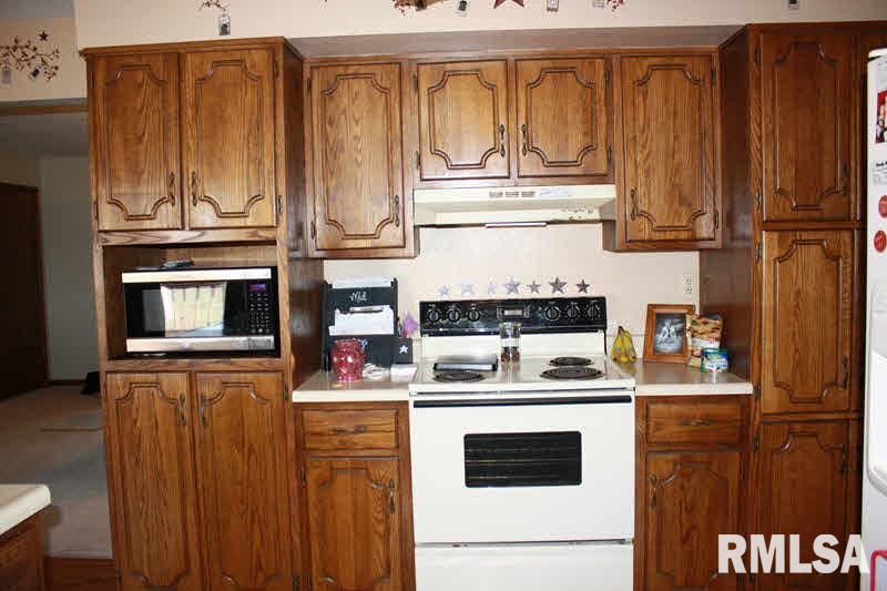1239 Red Stripe Road Odin, IL 62870 - Photo 4 of 21