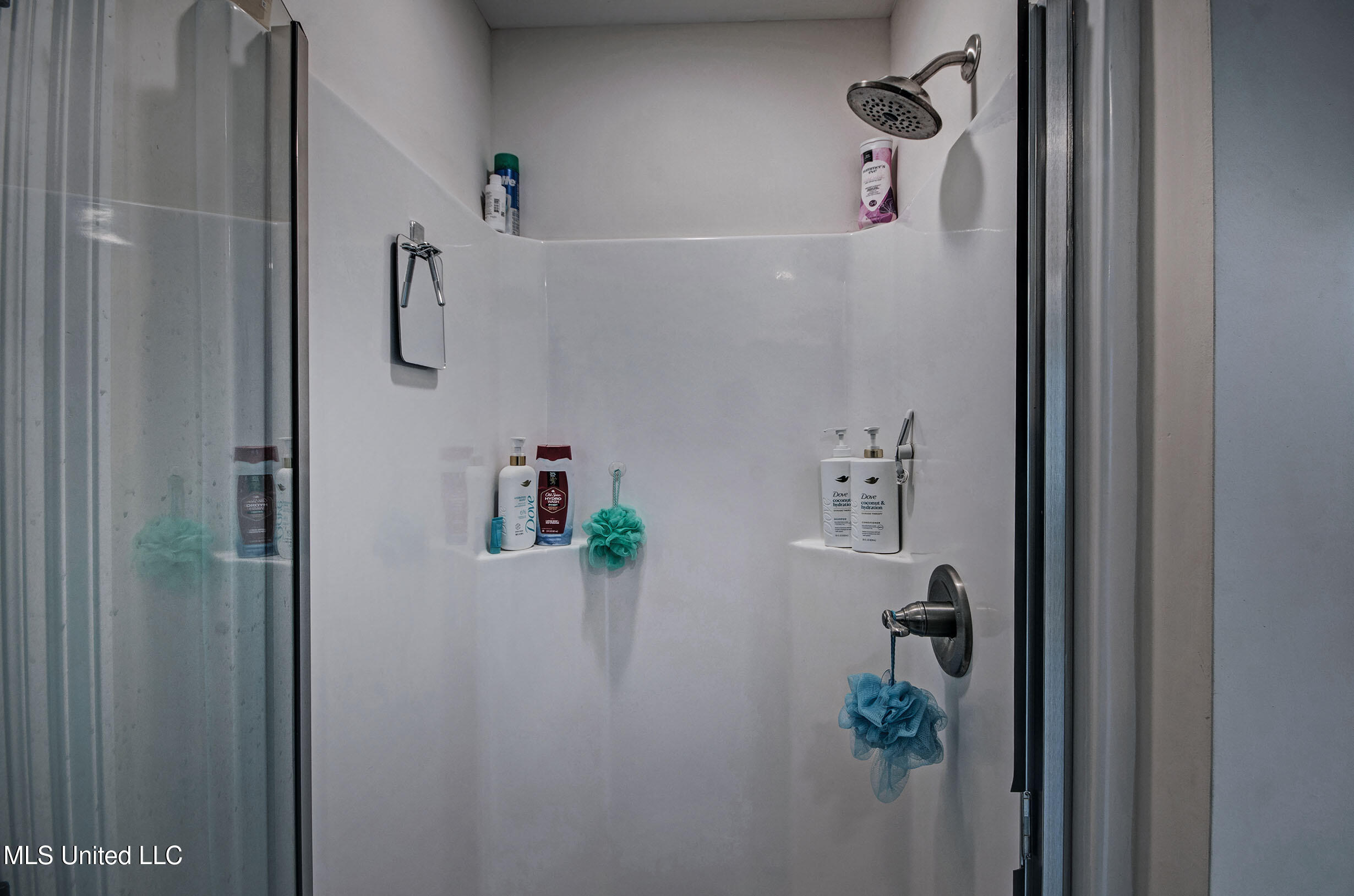 247 Hemingway Circle Canton, MS 39046 - Photo 13 of 20 IMGP9693_4_5