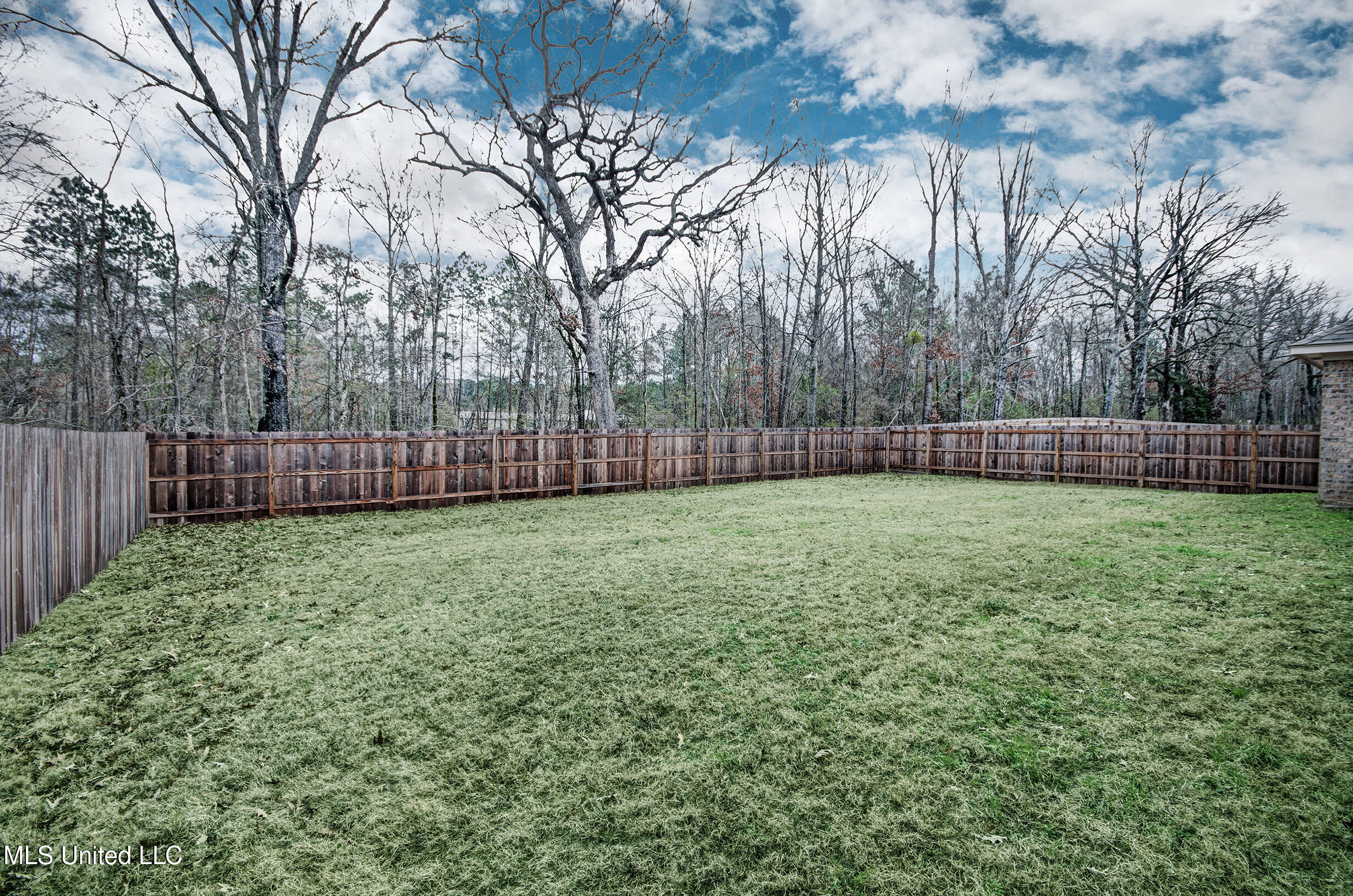 247 Hemingway Circle Canton, MS 39046 - Photo 19 of 20 IMGP9621_2_3