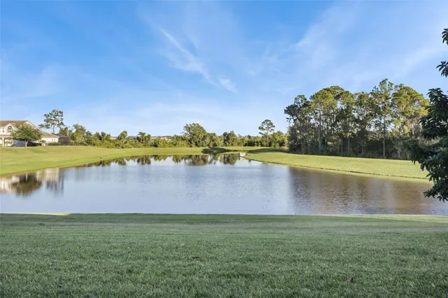 a view of a chairs and potted plants