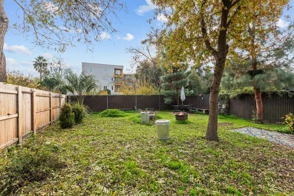 a view of a backyard with large tree