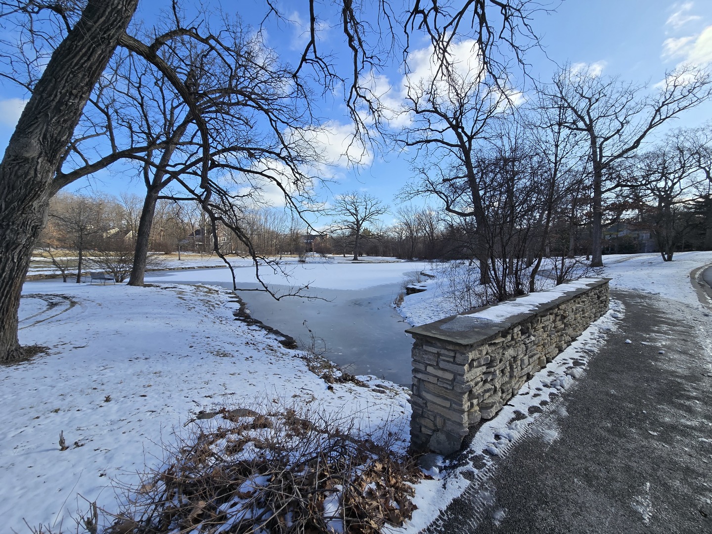 175 Margate Court Lake Bluff, IL 60044 - Photo 50 of 57 a view of a yard with wooden fence
