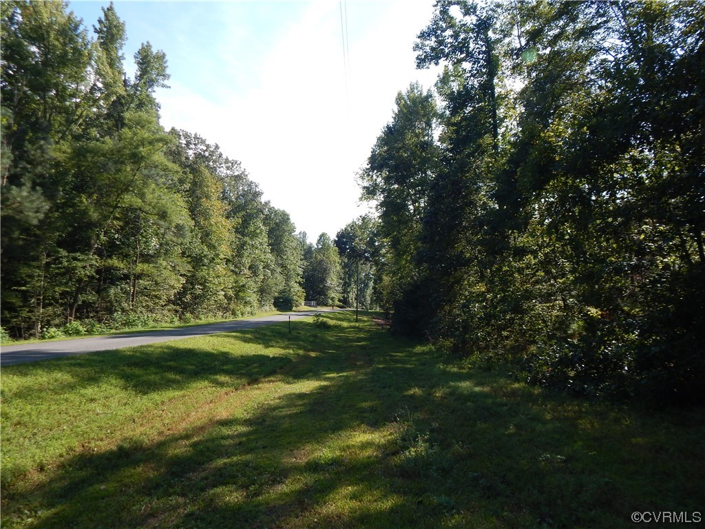 0 Bourne Road Montpelier, VA 23192 - Photo 6 of 31 Gallery Image 6