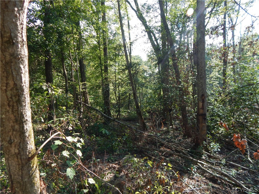 0 Bourne Road Montpelier, VA 23192 - Photo 7 of 31 Gallery Image 7