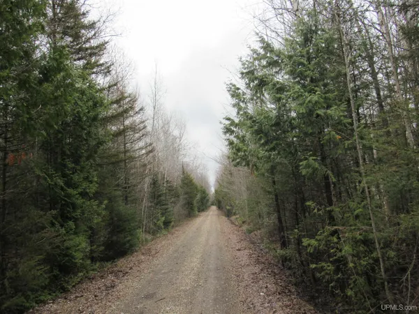 $88,200 | Deerton-sand Deerton-Sand Lake Road, Deerton, MI 49822