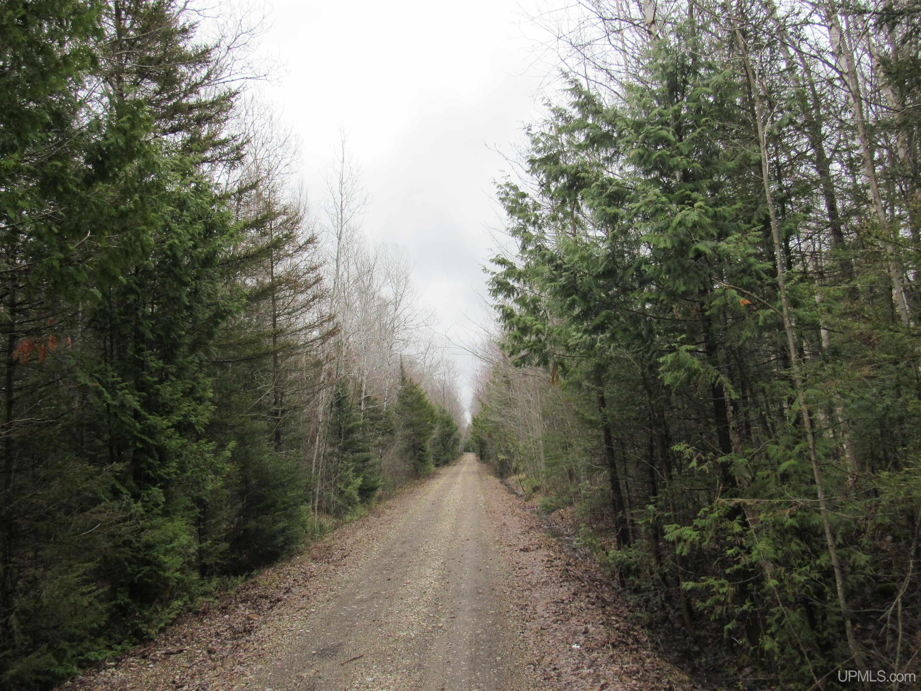 Tbd Deerton-sand Lake Road Deerton, MI 49822 - Photo 1 of 23