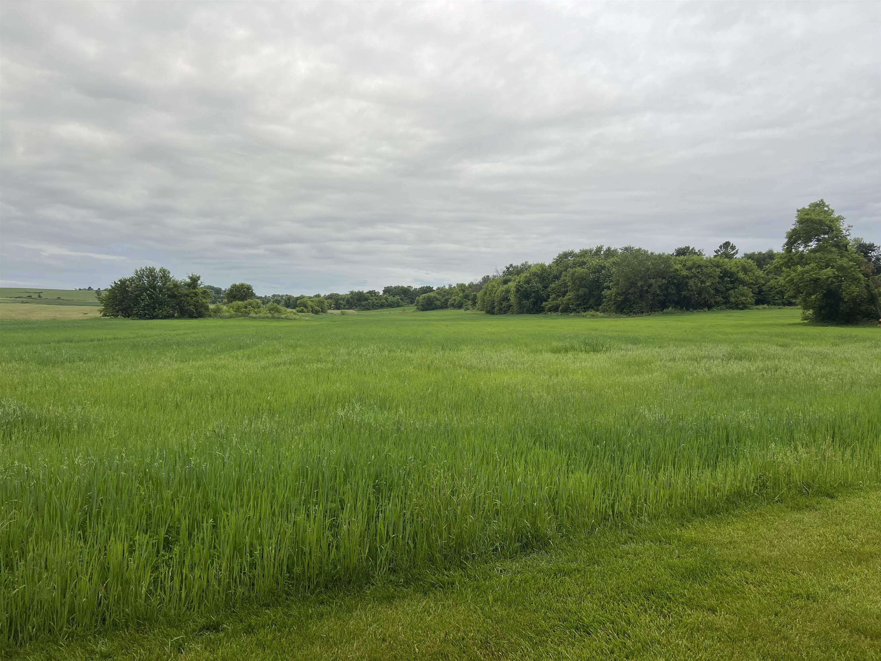 20.37-ac South Main Street Reeseville, WI 53579 - Photo 2 of 7