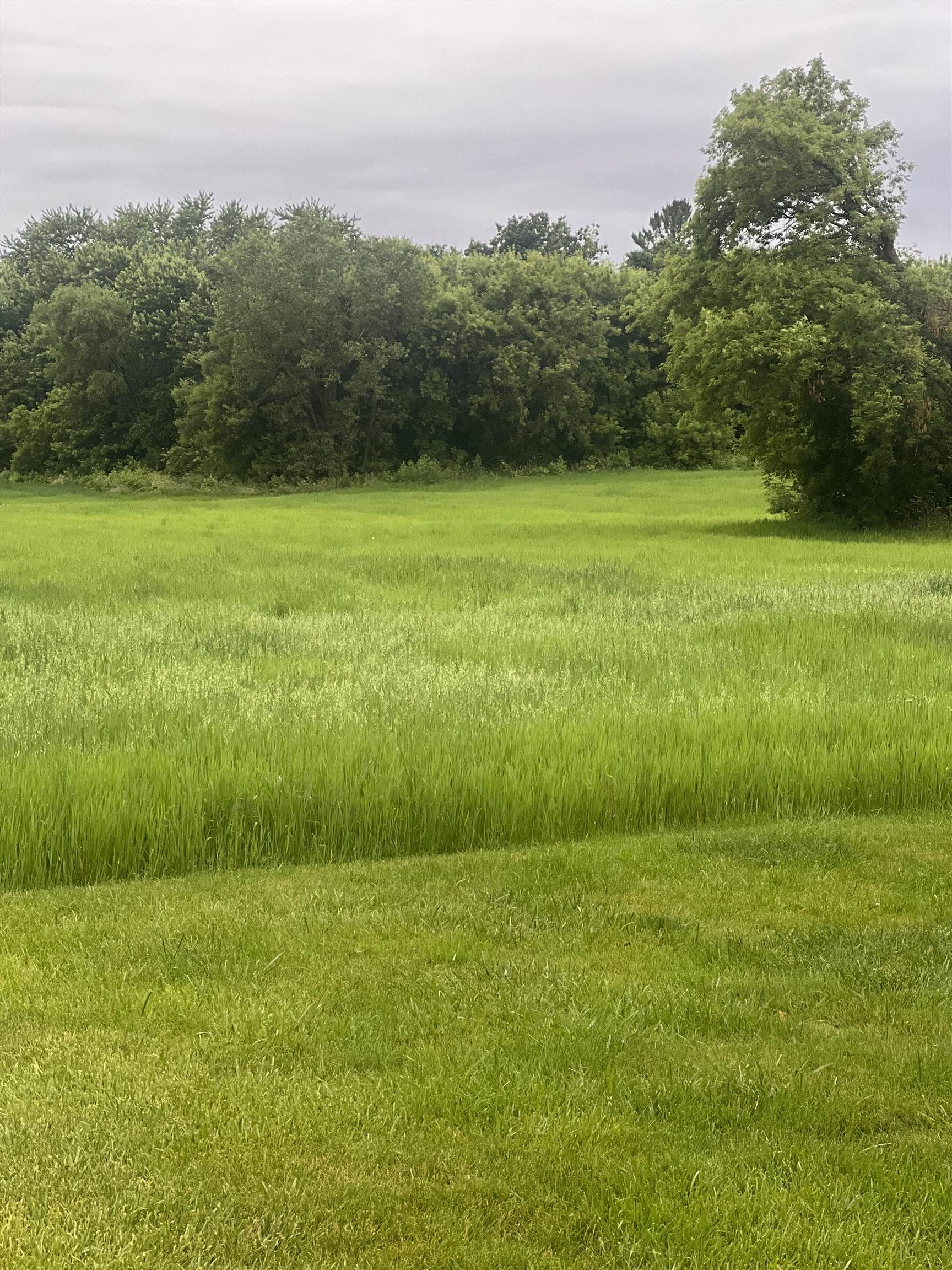 20.37-ac South Main Street Reeseville, WI 53579 - Photo 4 of 7