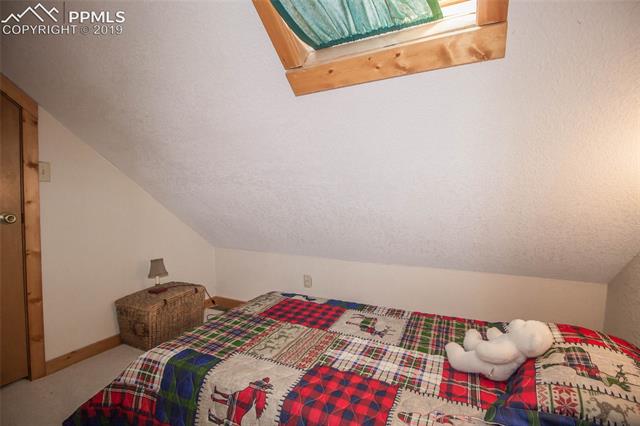294 Cheyenne Road Florissant, CO 80816 - Photo 30 of 36 Gallery Image 30