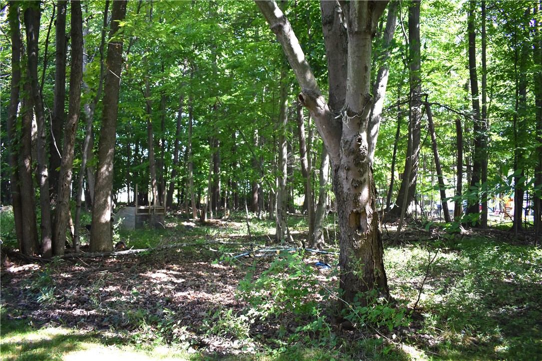 549 Klem Road Webster, NY 14580 - Photo 37 of 50