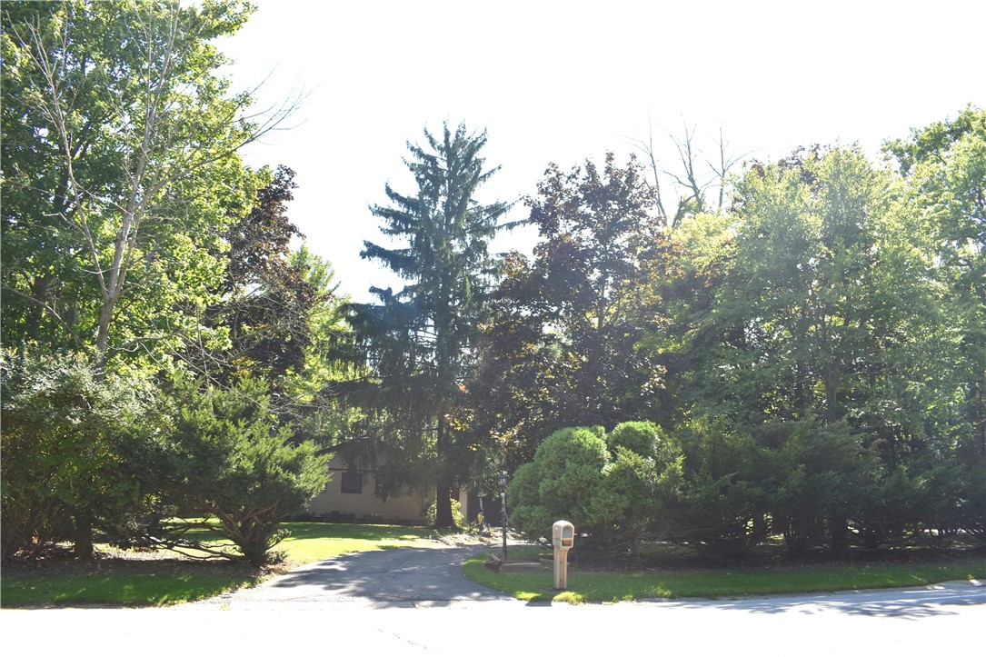 549 Klem Road Webster, NY 14580 - Photo 47 of 50