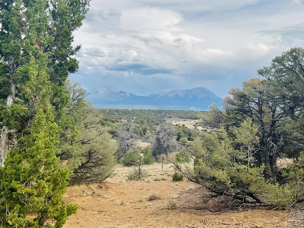 Lot 17 Navajo Ranch Walsenburg, CO 81089 - Photo 1 of 26 a view of a yard