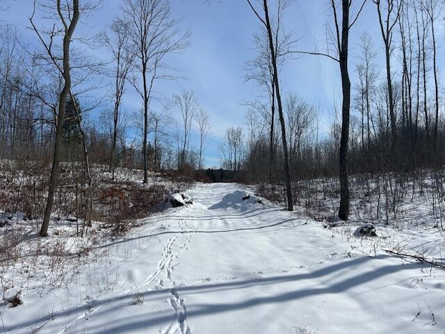 9 East 9 Mile Road Lakeview, MI 48850 - Photo 5 of 16