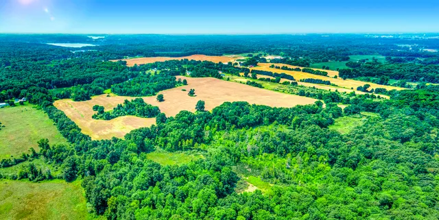 $699,899 | 6640 Smith Road, Grass Lake, MI 49240