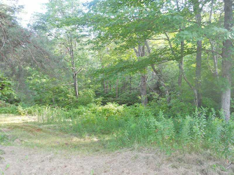 512 S Road Dixmont, ME 04932 - Photo 29 of 35 View. Side yard looking towards pond