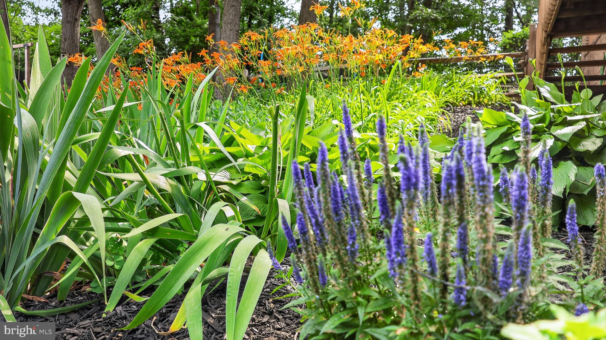 2571 Valley View Road Morgantown, PA 19543 - Photo 47 of 75 Vibrant blooms in a lush garden oasis.