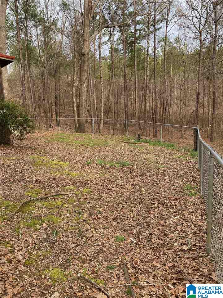 837 Meadow River Road Talladega, AL 35160 - Photo 20 of 24