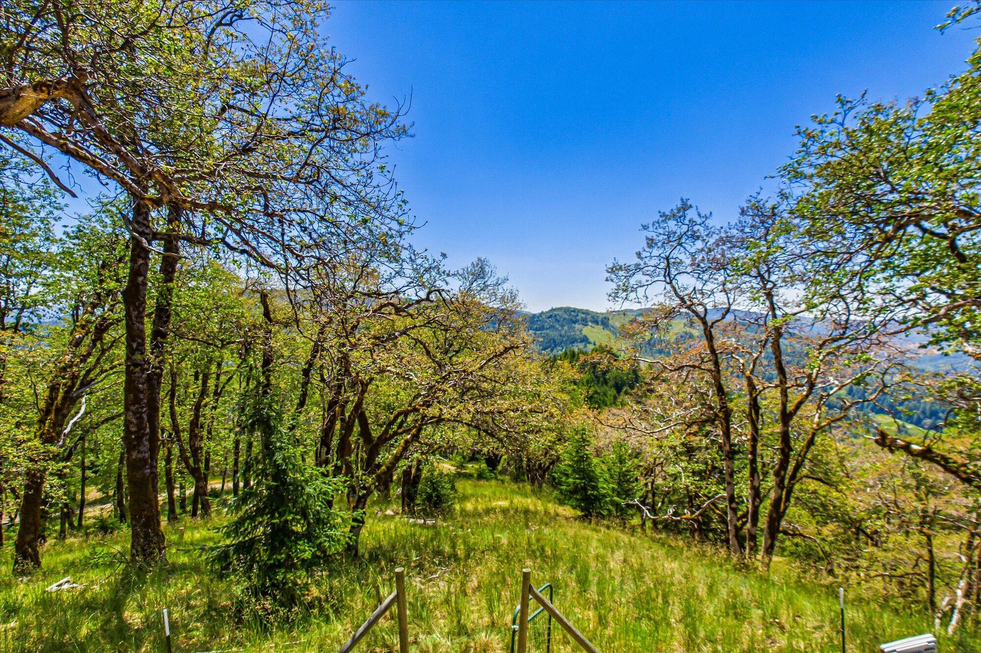 101 Gasline Road Bridgeville, CA 95526 - Photo 38 of 51