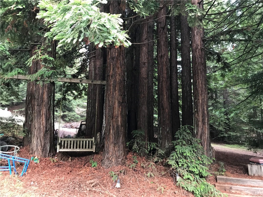 29725 Marsh Creek Road Comptche, CA 95427 - Photo 2 of 9