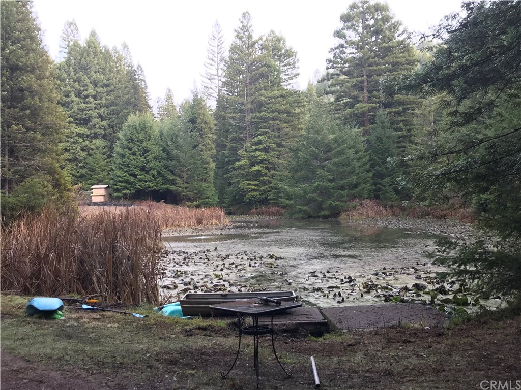 29725 Marsh Creek Road Comptche, CA 95427 - Photo 7 of 9