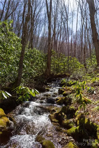 $97,500 | Lot 50 Bearwallow Ridge Trail, Unit 50, Maggie Valley, NC 28751