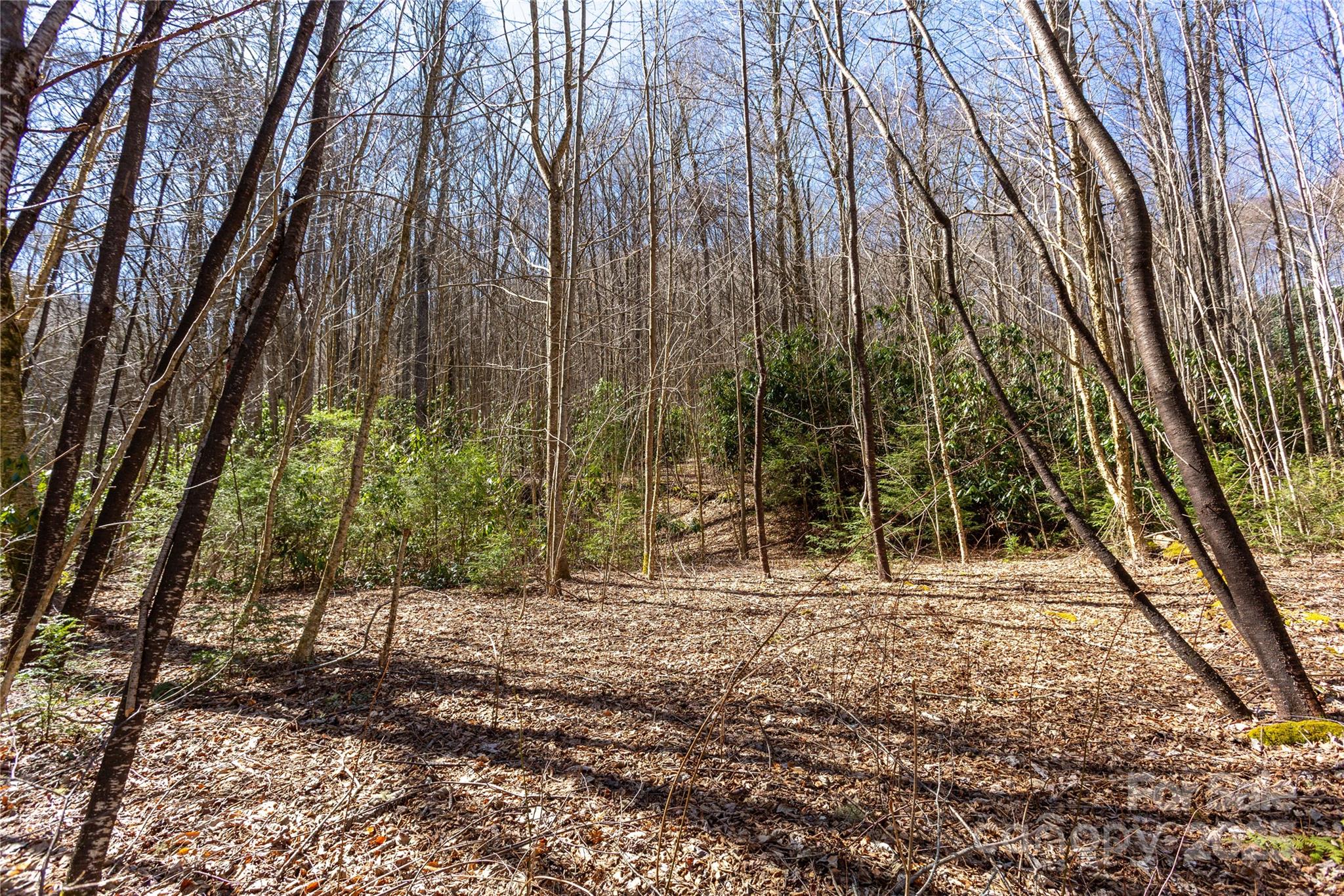 Lot 50 Bearwallow Ridge Trail, Unit 50 Maggie Valley, NC 28751 - Photo 13 of 39