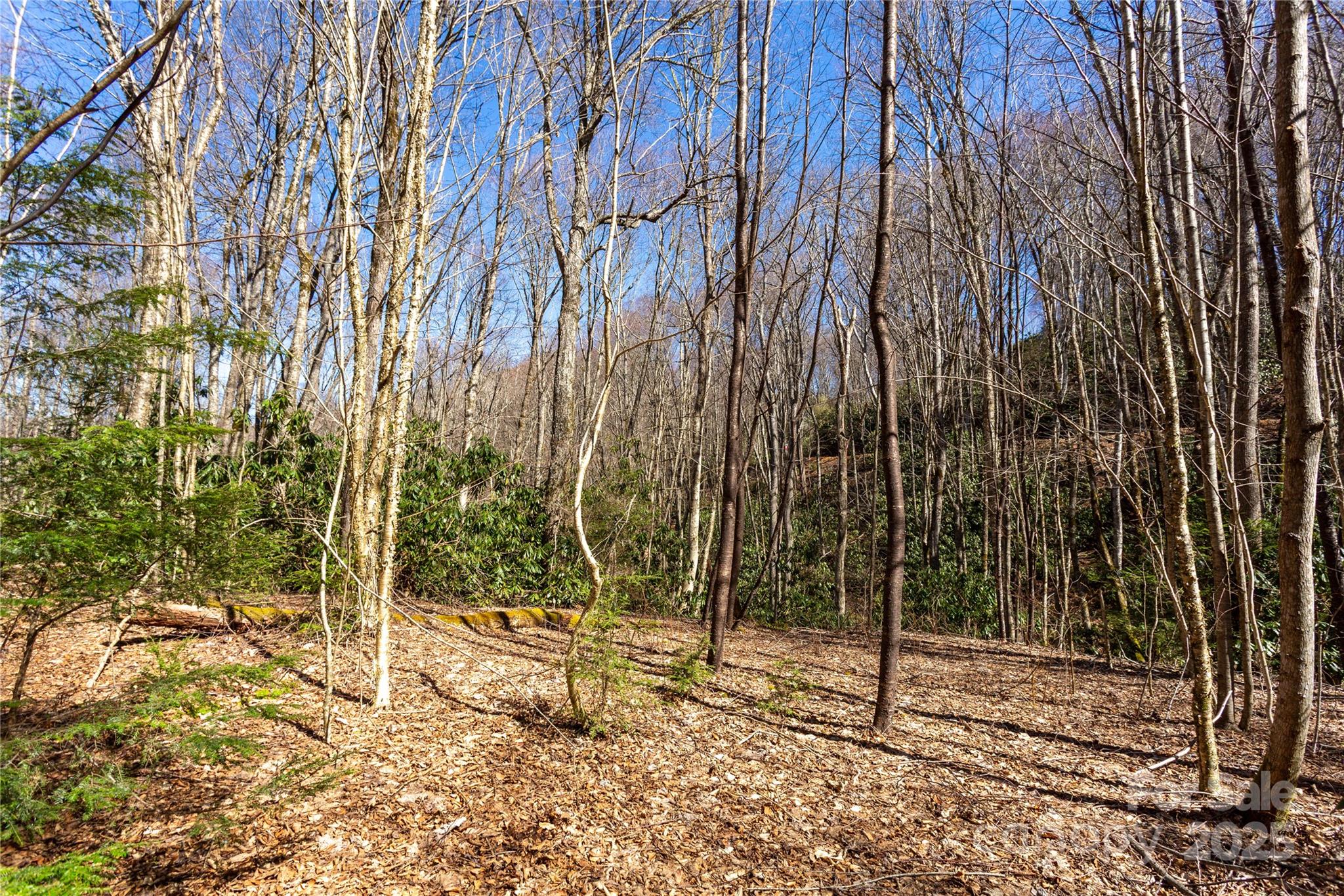 Lot 50 Bearwallow Ridge Trail, Unit 50 Maggie Valley, NC 28751 - Photo 14 of 39