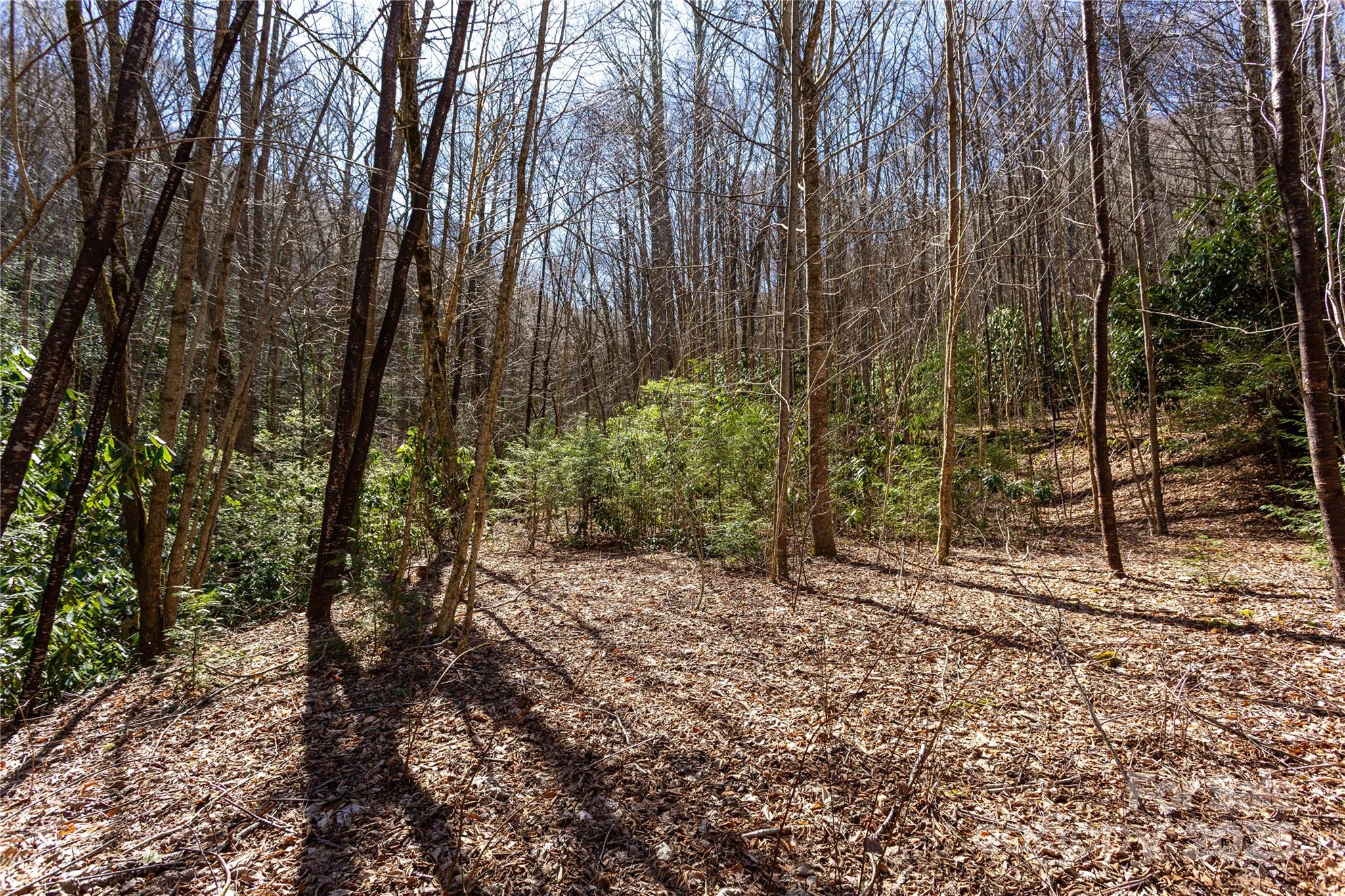 Lot 50 Bearwallow Ridge Trail, Unit 50 Maggie Valley, NC 28751 - Photo 15 of 39