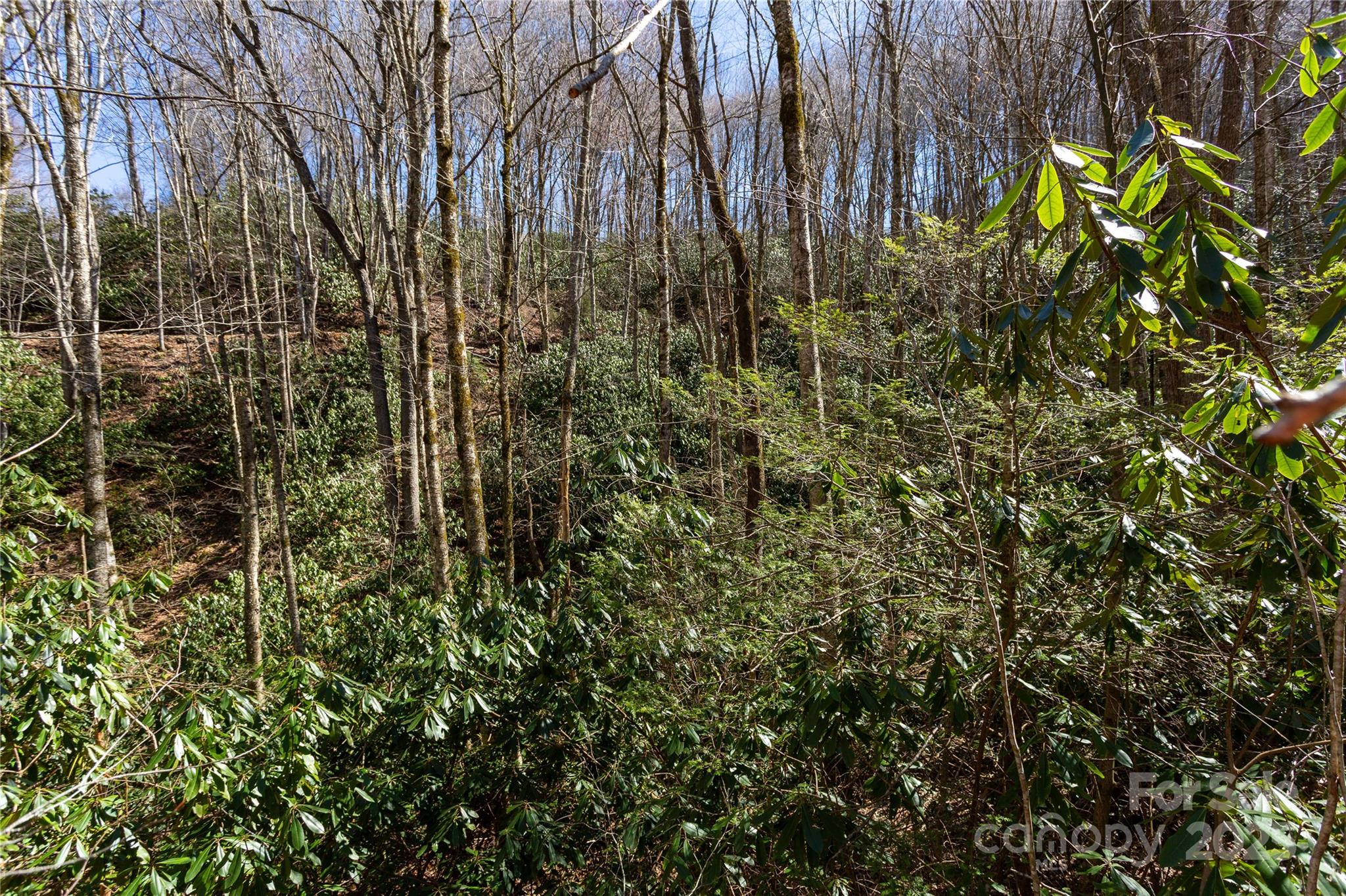 Lot 50 Bearwallow Ridge Trail, Unit 50 Maggie Valley, NC 28751 - Photo 16 of 39