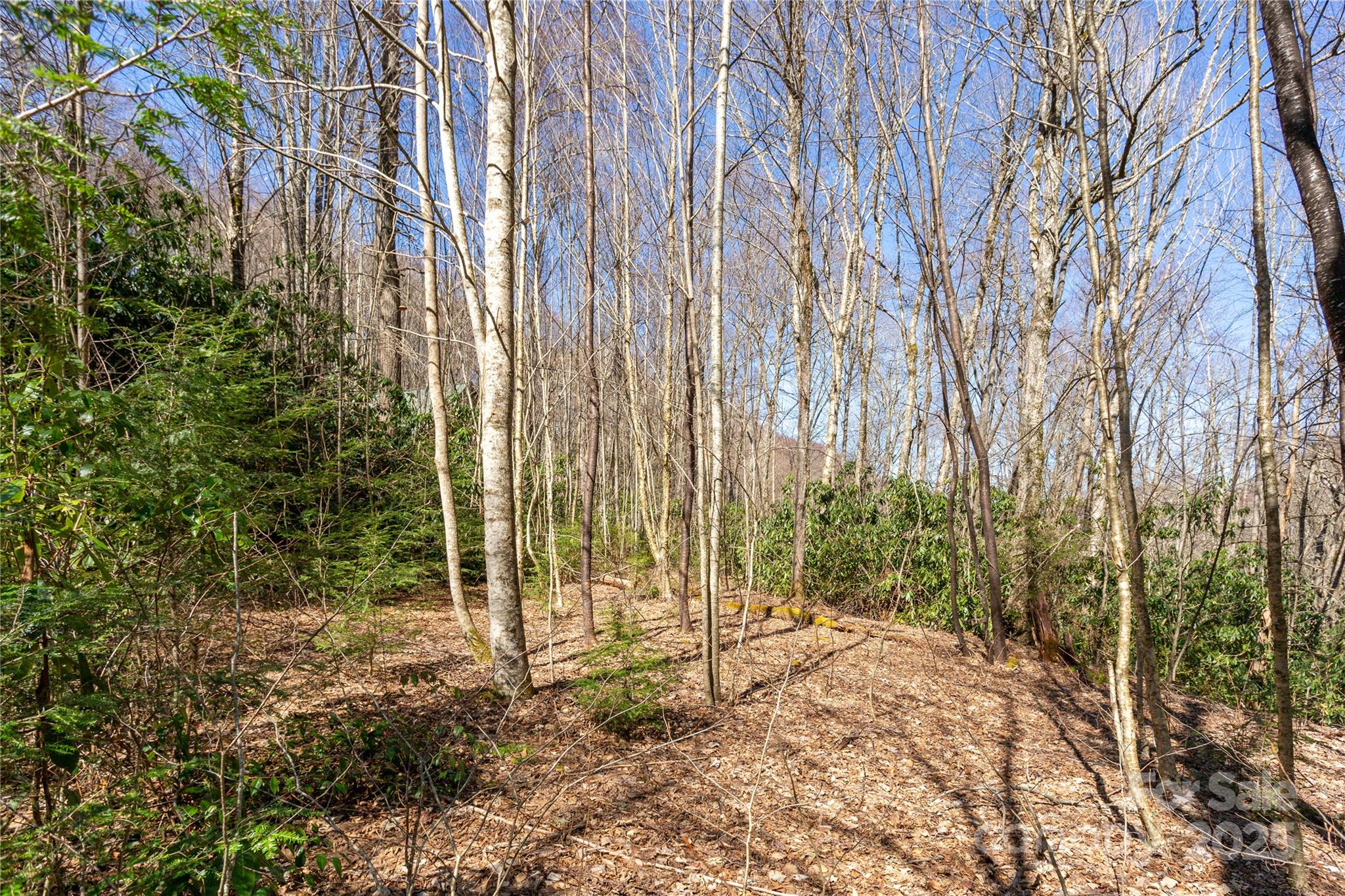 Lot 50 Bearwallow Ridge Trail, Unit 50 Maggie Valley, NC 28751 - Photo 17 of 39