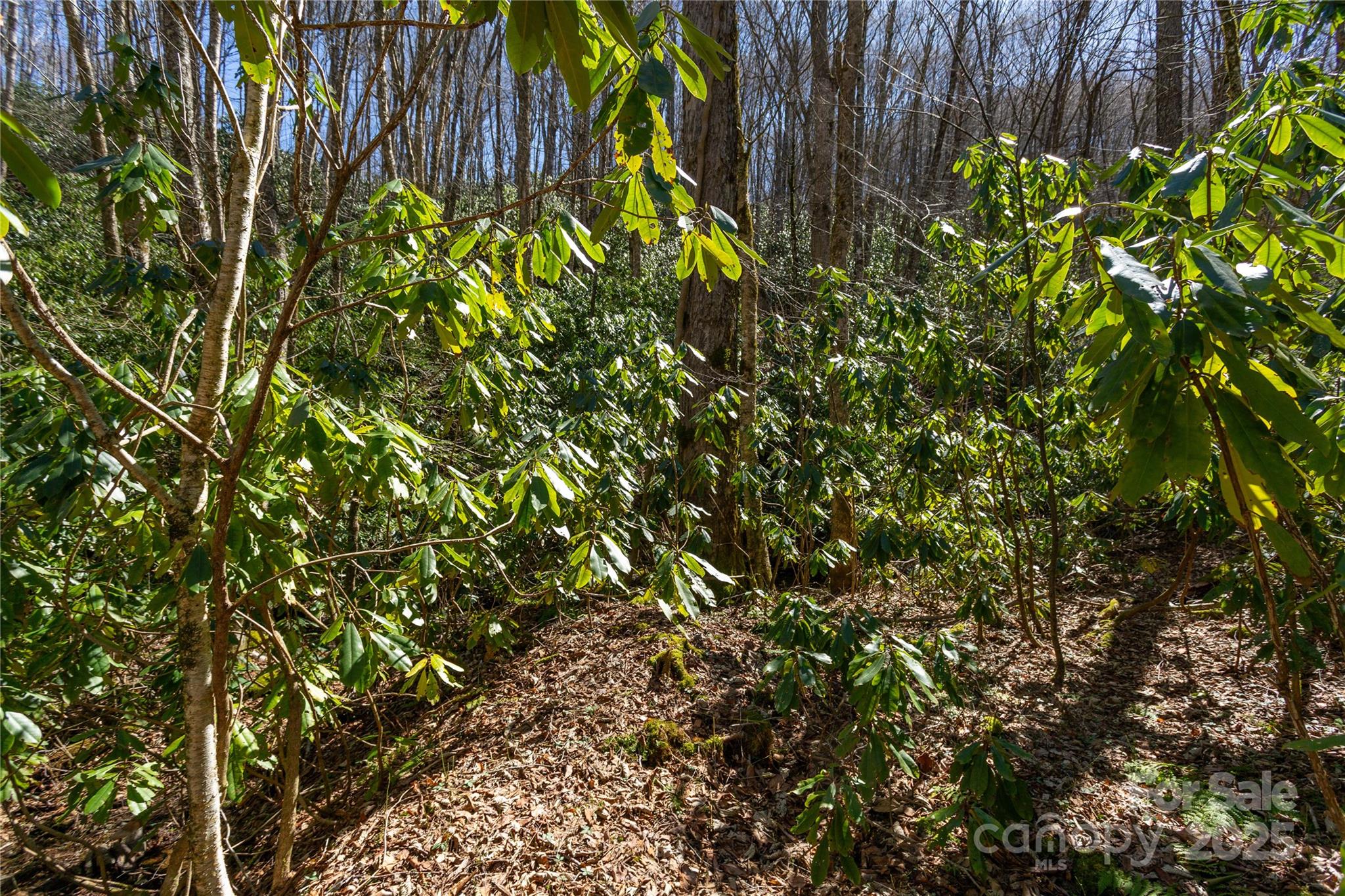 Lot 50 Bearwallow Ridge Trail, Unit 50 Maggie Valley, NC 28751 - Photo 19 of 39