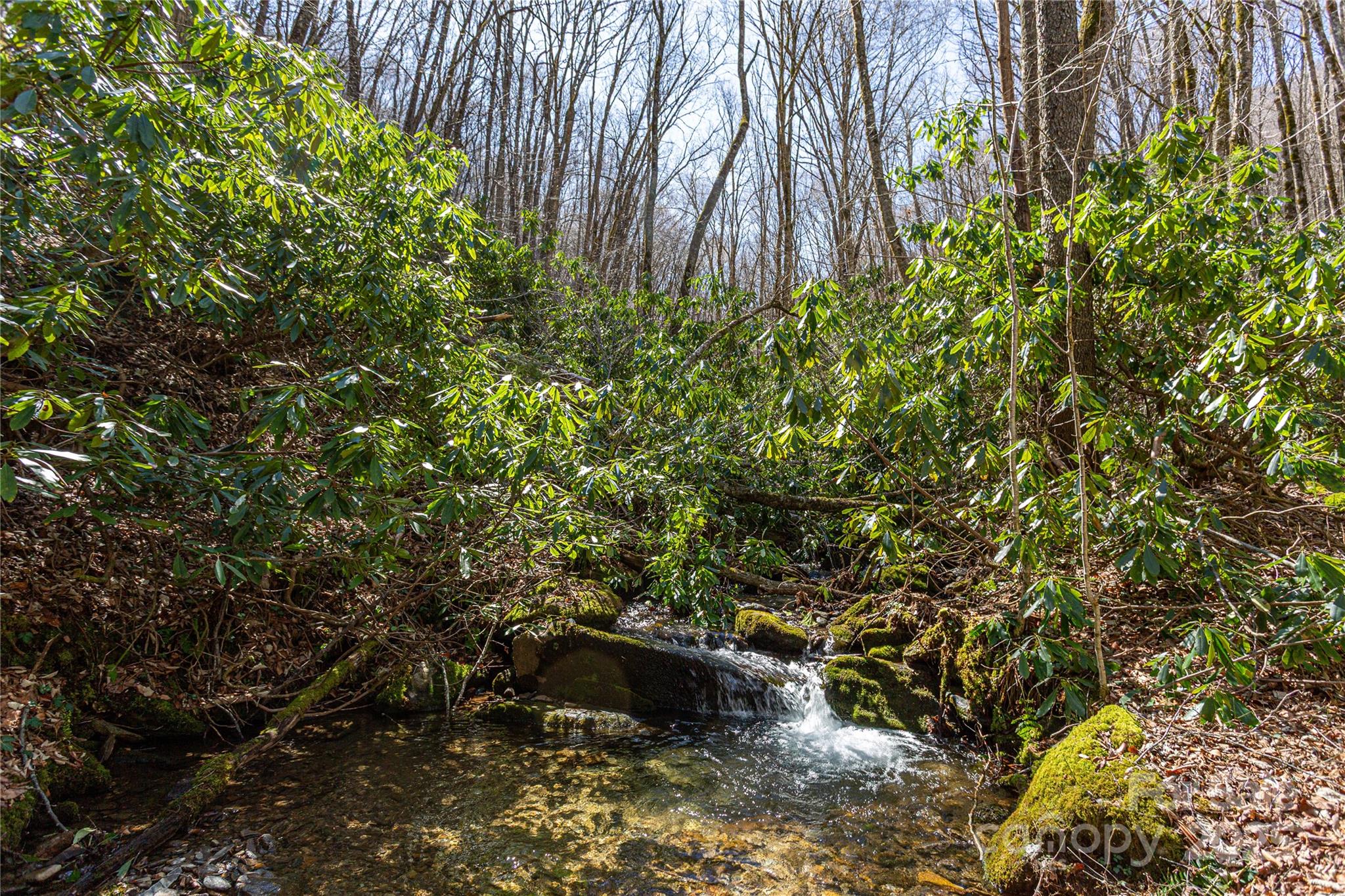 Lot 50 Bearwallow Ridge Trail, Unit 50 Maggie Valley, NC 28751 - Photo 20 of 39