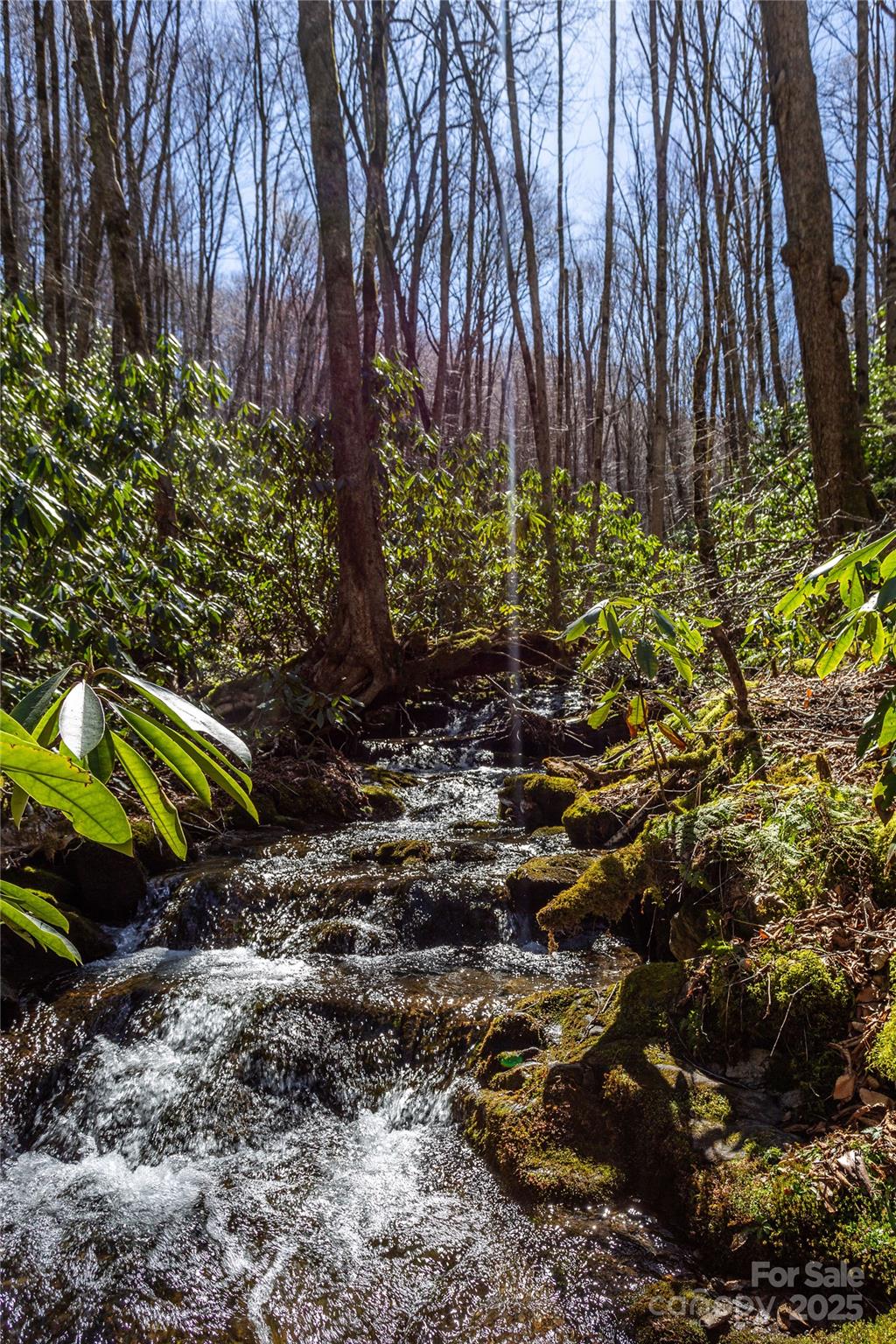 Lot 50 Bearwallow Ridge Trail, Unit 50 Maggie Valley, NC 28751 - Photo 2 of 39