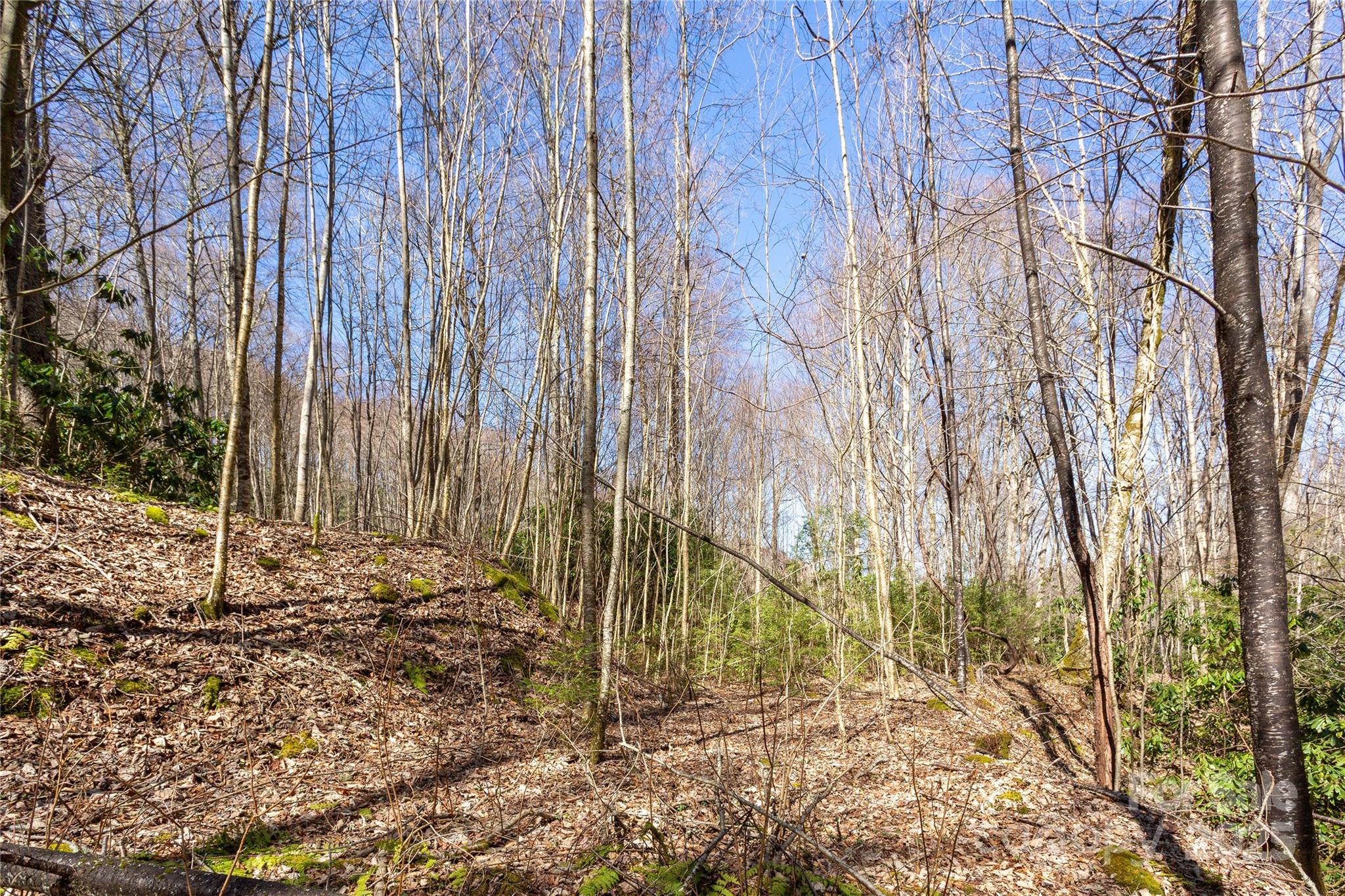 Lot 50 Bearwallow Ridge Trail, Unit 50 Maggie Valley, NC 28751 - Photo 21 of 39