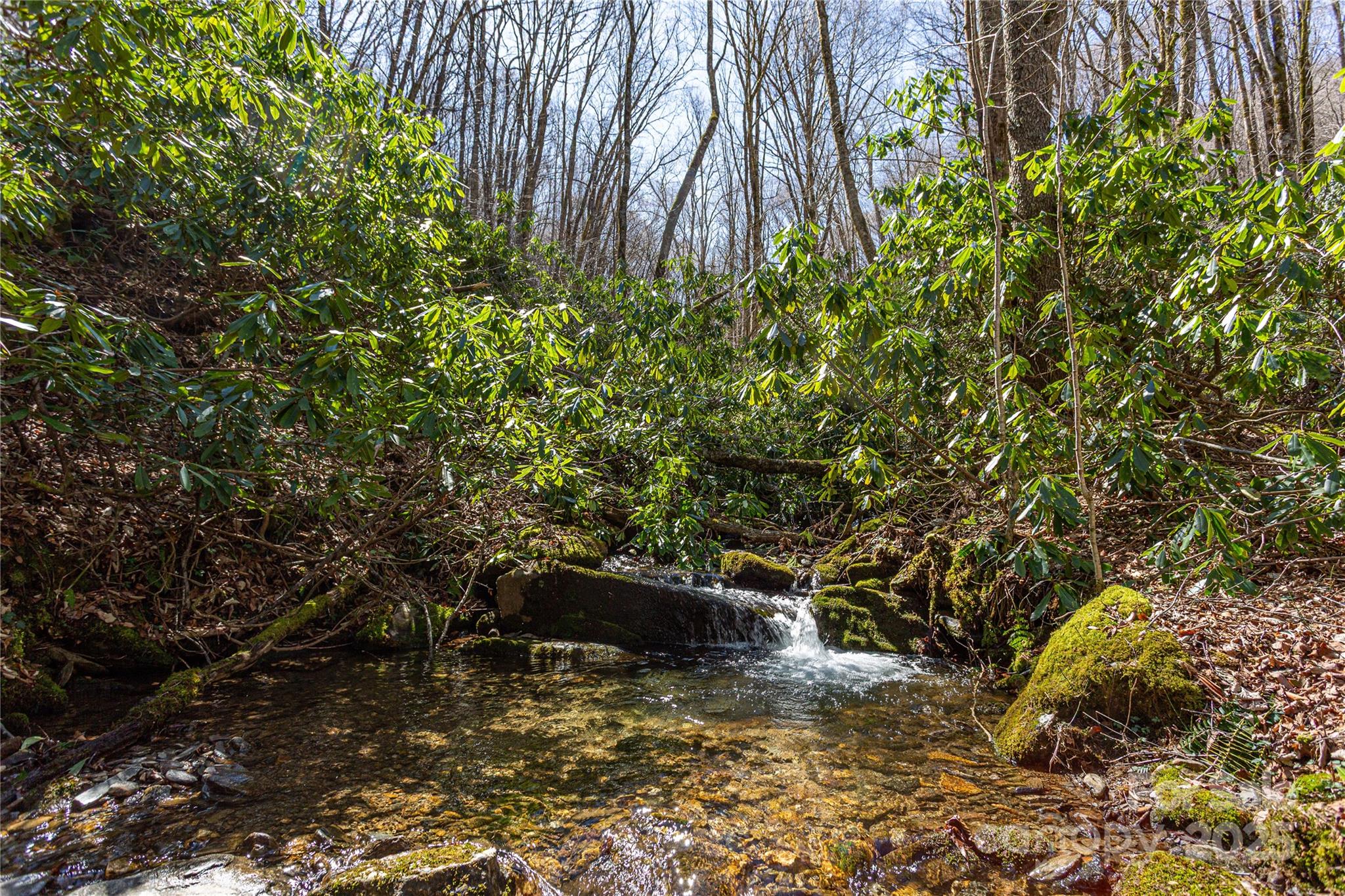 Lot 50 Bearwallow Ridge Trail, Unit 50 Maggie Valley, NC 28751 - Photo 22 of 39